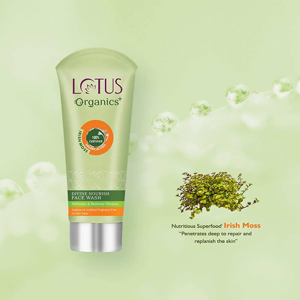https://cdn.shopify.com/s/files/1/1857/6931/products/ffEC8ZRGBB.jpg?v=1648461146