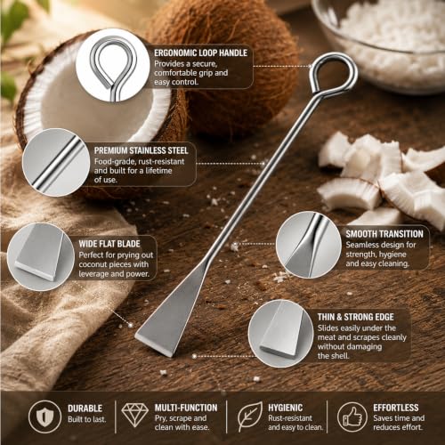 Image 7 of WOOD WAVE Stainless Steel Coconut Scraper Tool Pack of 1