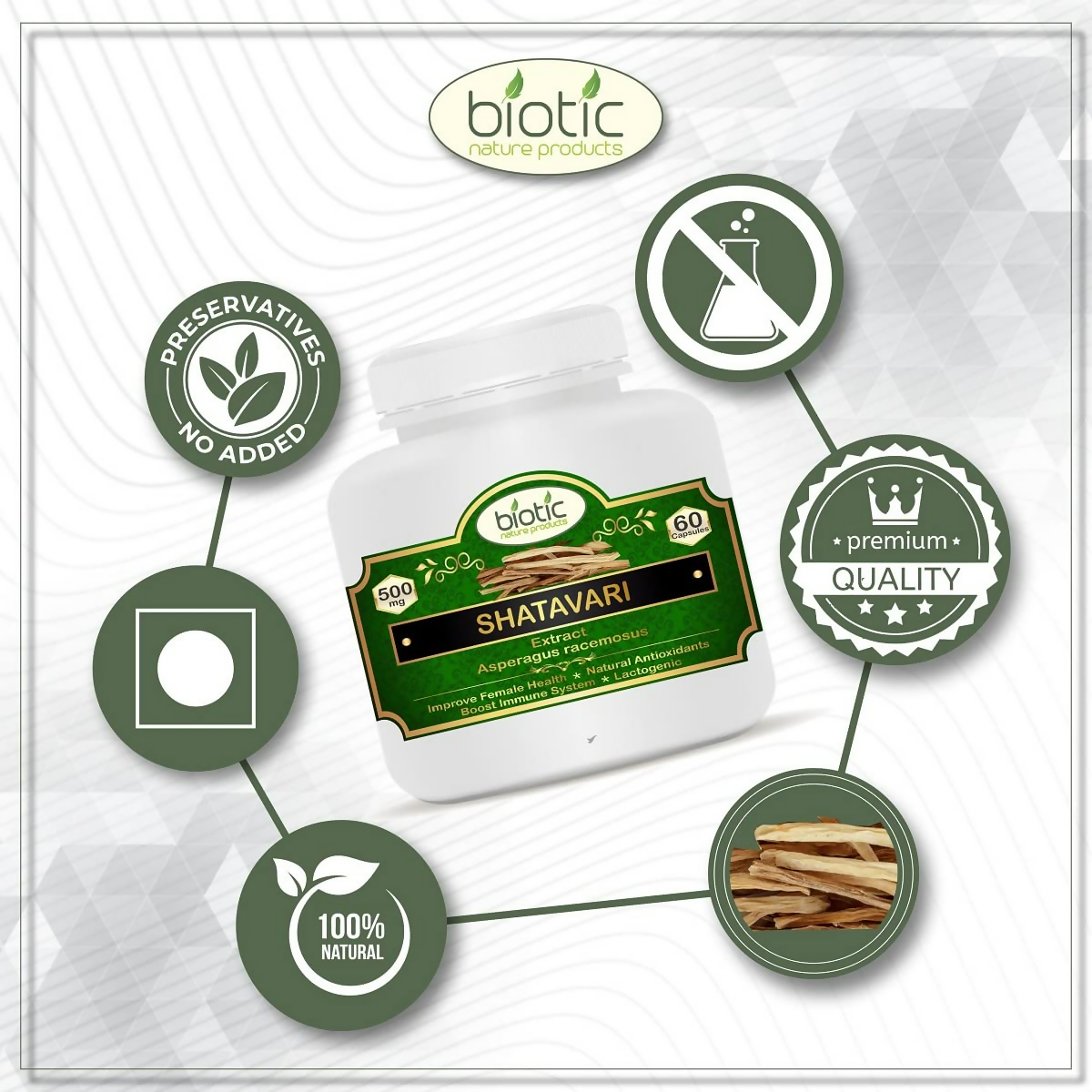 https://cdn.shopify.com/s/files/1/1857/6931/files/fhFNMgYqaE.png?v=1769595716