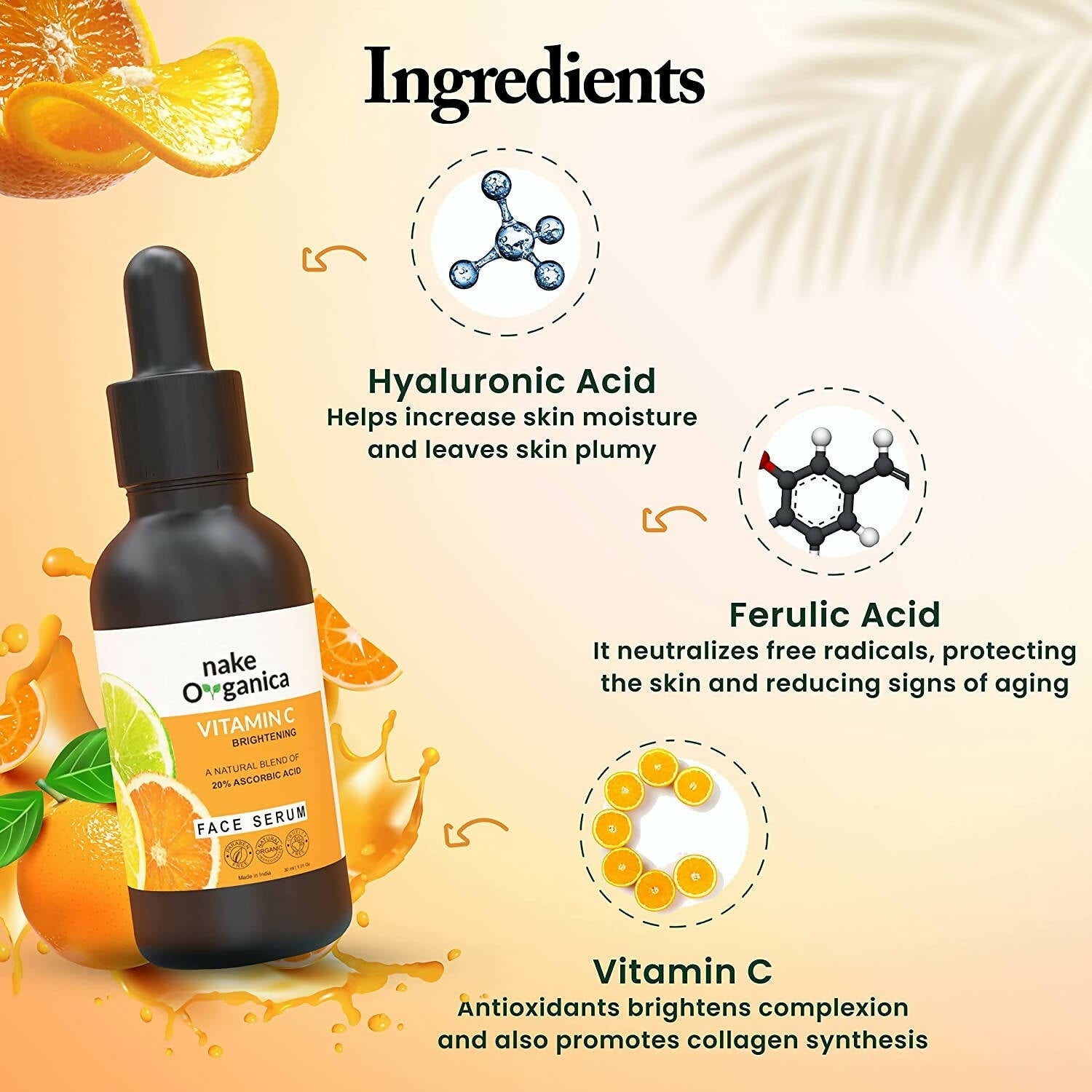 https://cdn.shopify.com/s/files/1/1857/6931/products/fj8nSwfQpD.jpg?v=1664879729