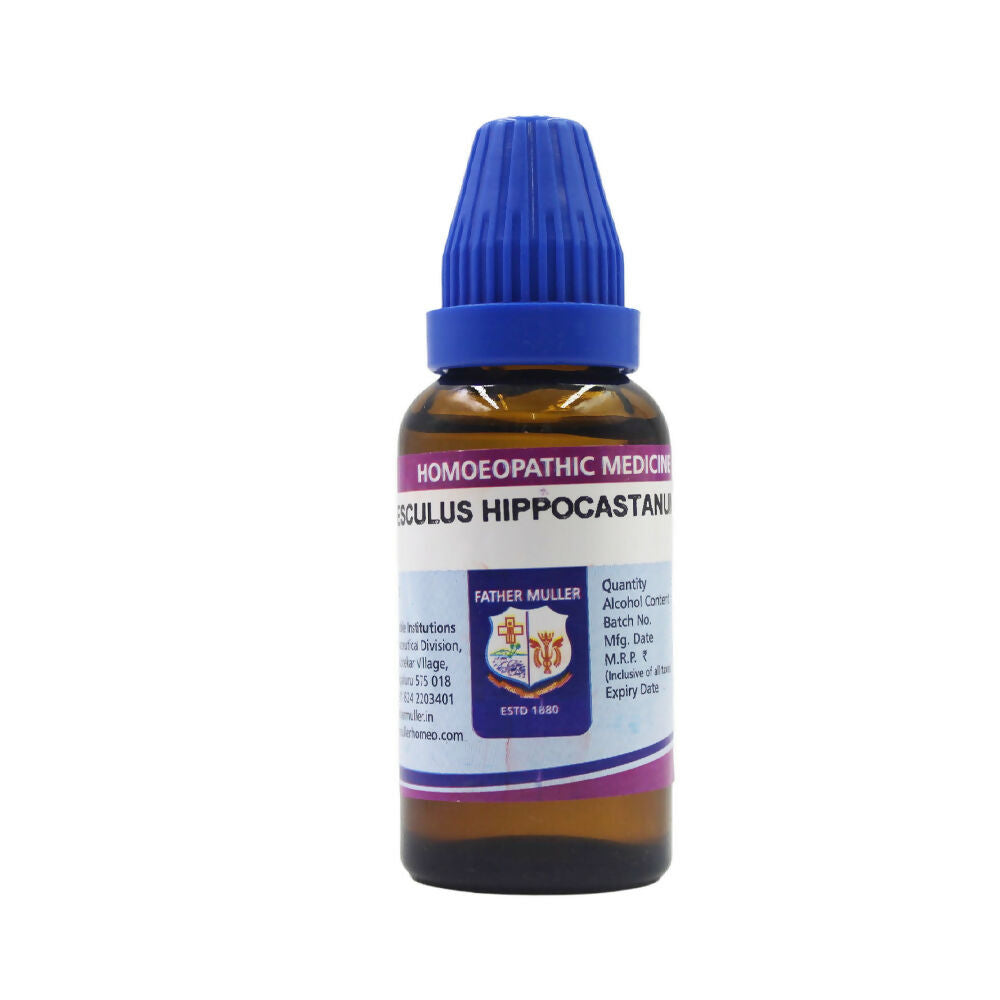 https://cdn.shopify.com/s/files/1/1857/6931/files/fjBi63KCto.jpg?v=1719034387