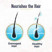 https://cdn.shopify.com/s/files/1/1857/6931/products/flMva1pqou.jpg?v=1651728376