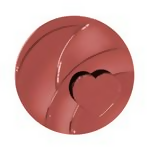 https://cdn.shopify.com/s/files/1/1857/6931/files/fmA03oZfh0.png?v=1731935015