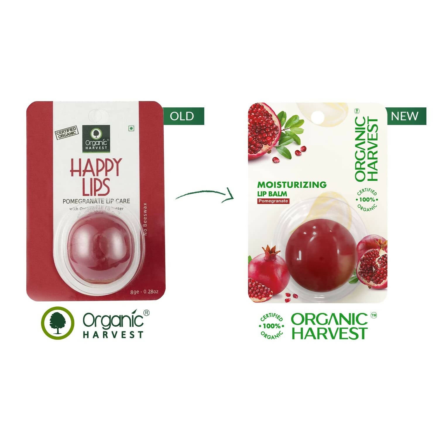 https://cdn.shopify.com/s/files/1/1857/6931/products/fnnUvlzF7N.jpg?v=1675144307