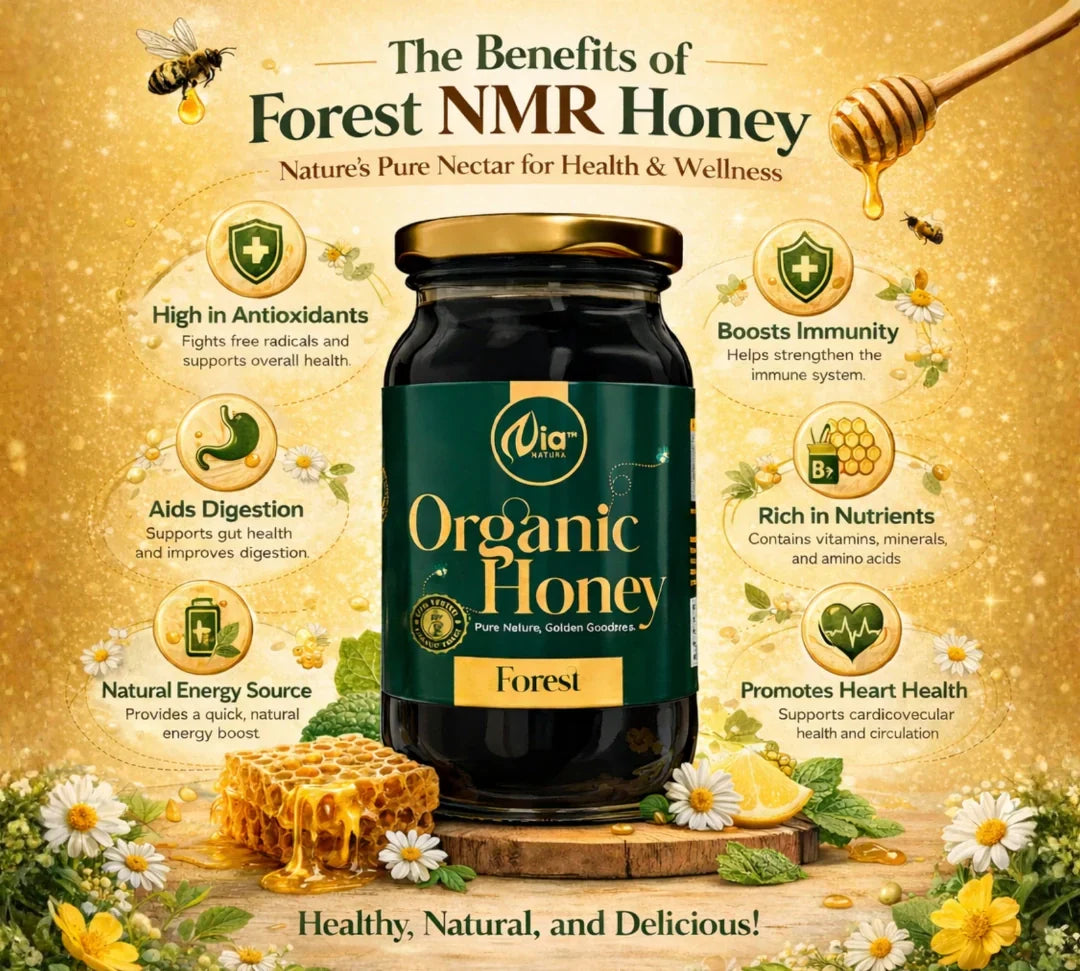 https://cdn.shopify.com/s/files/1/1857/6931/files/forest_5.webp?v=1778506990