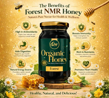 https://cdn.shopify.com/s/files/1/1857/6931/files/forest_5.webp?v=1778506990