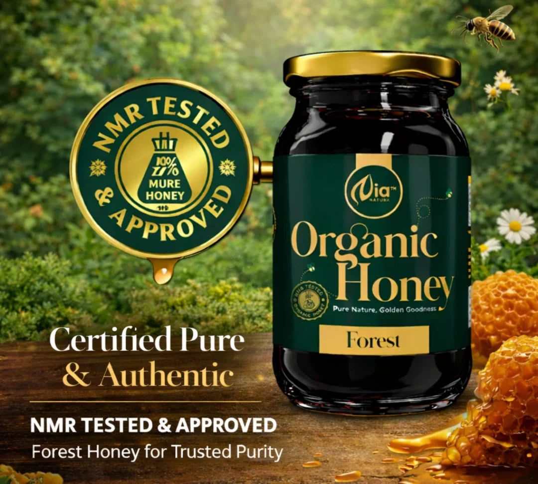 https://cdn.shopify.com/s/files/1/1857/6931/files/forest_6.webp?v=1778506990