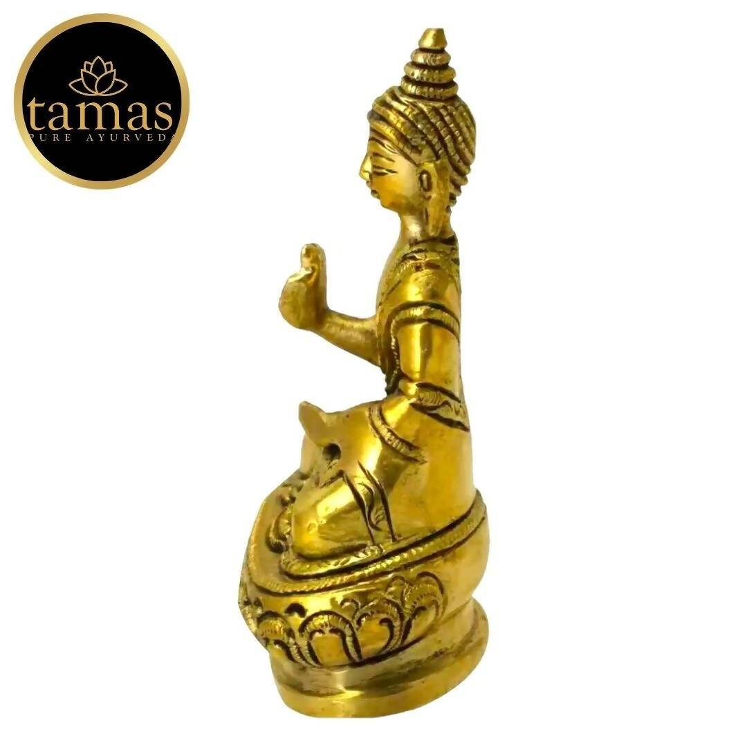 https://cdn.shopify.com/s/files/1/1857/6931/products/fow2BwTt2B.jpg?v=1681543041