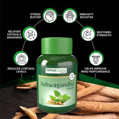 https://cdn.shopify.com/s/files/1/1857/6931/products/fowaNOB3aF.jpg?v=1702465886