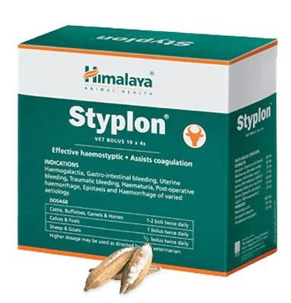 https://cdn.shopify.com/s/files/1/1857/6931/products/fqiQujcTWR.jpg?v=1638537474