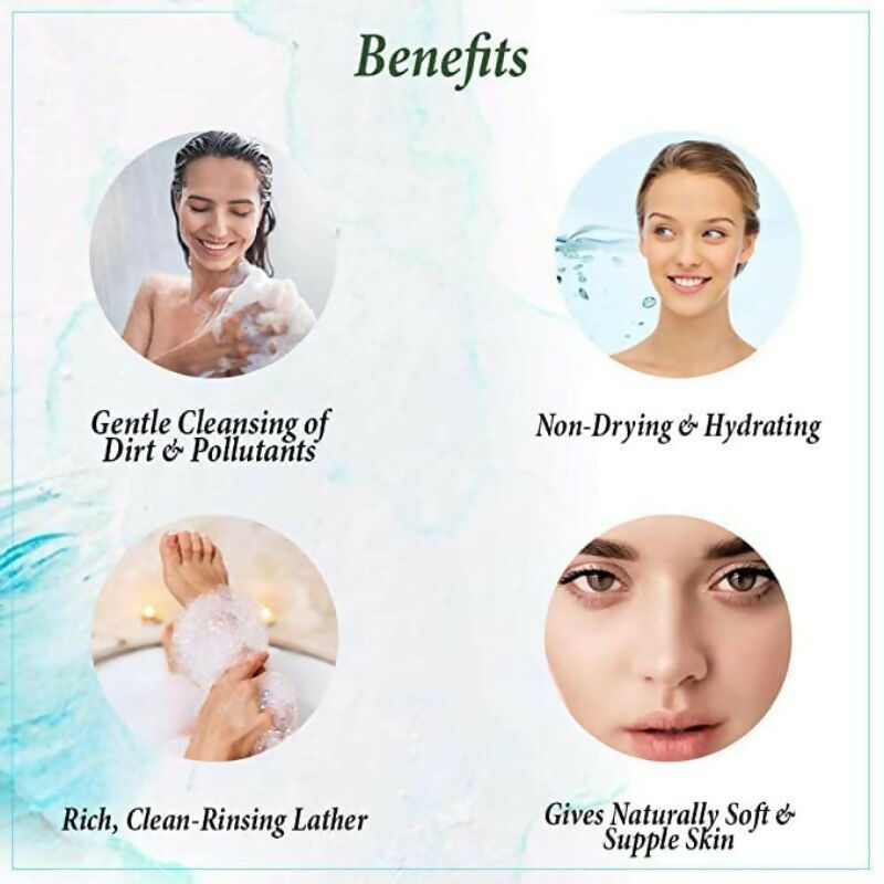 https://cdn.shopify.com/s/files/1/1857/6931/files/fr60LMcrAF.jpg?v=1733145972