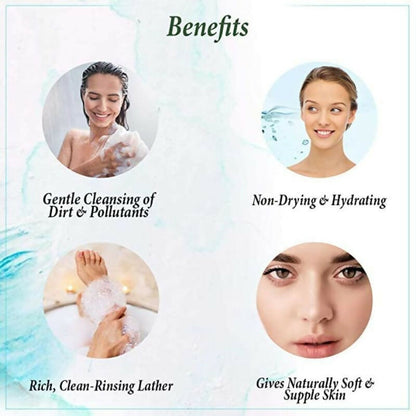 https://cdn.shopify.com/s/files/1/1857/6931/files/fr60LMcrAF.jpg?v=1733145972