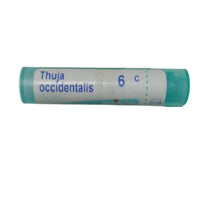 https://cdn.shopify.com/s/files/1/1857/6931/products/frnoXOH0rj.jpg?v=1614911382