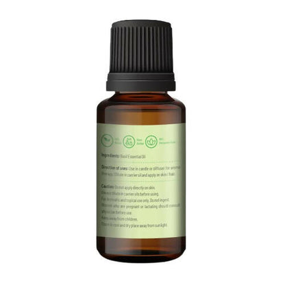 https://cdn.shopify.com/s/files/1/1857/6931/products/frvS9FuyYi.jpg?v=1665041258