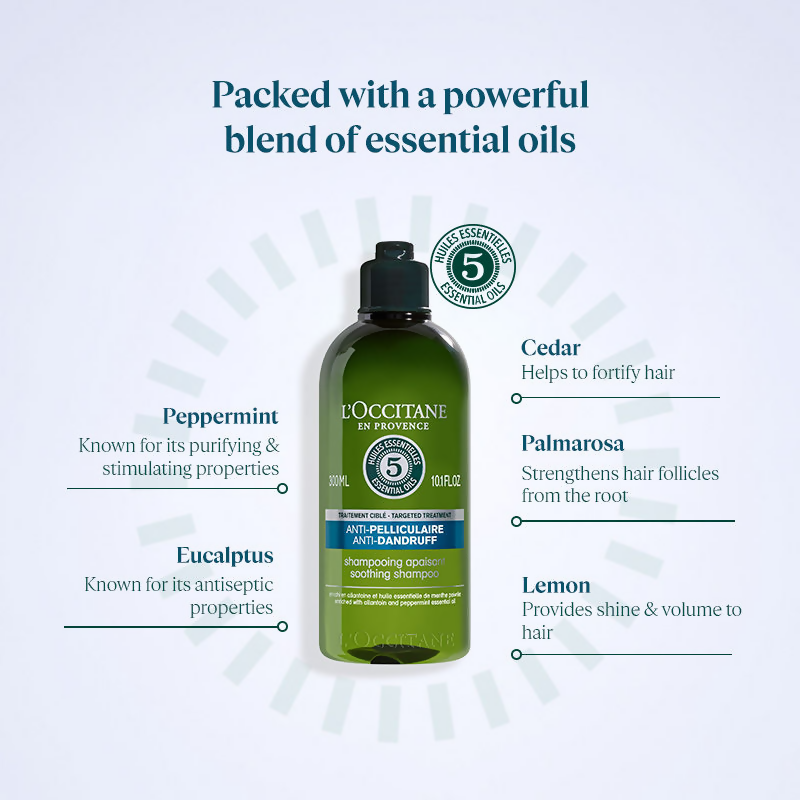 https://cdn.shopify.com/s/files/1/1857/6931/files/frxM0mpVKC.png?v=1727078102