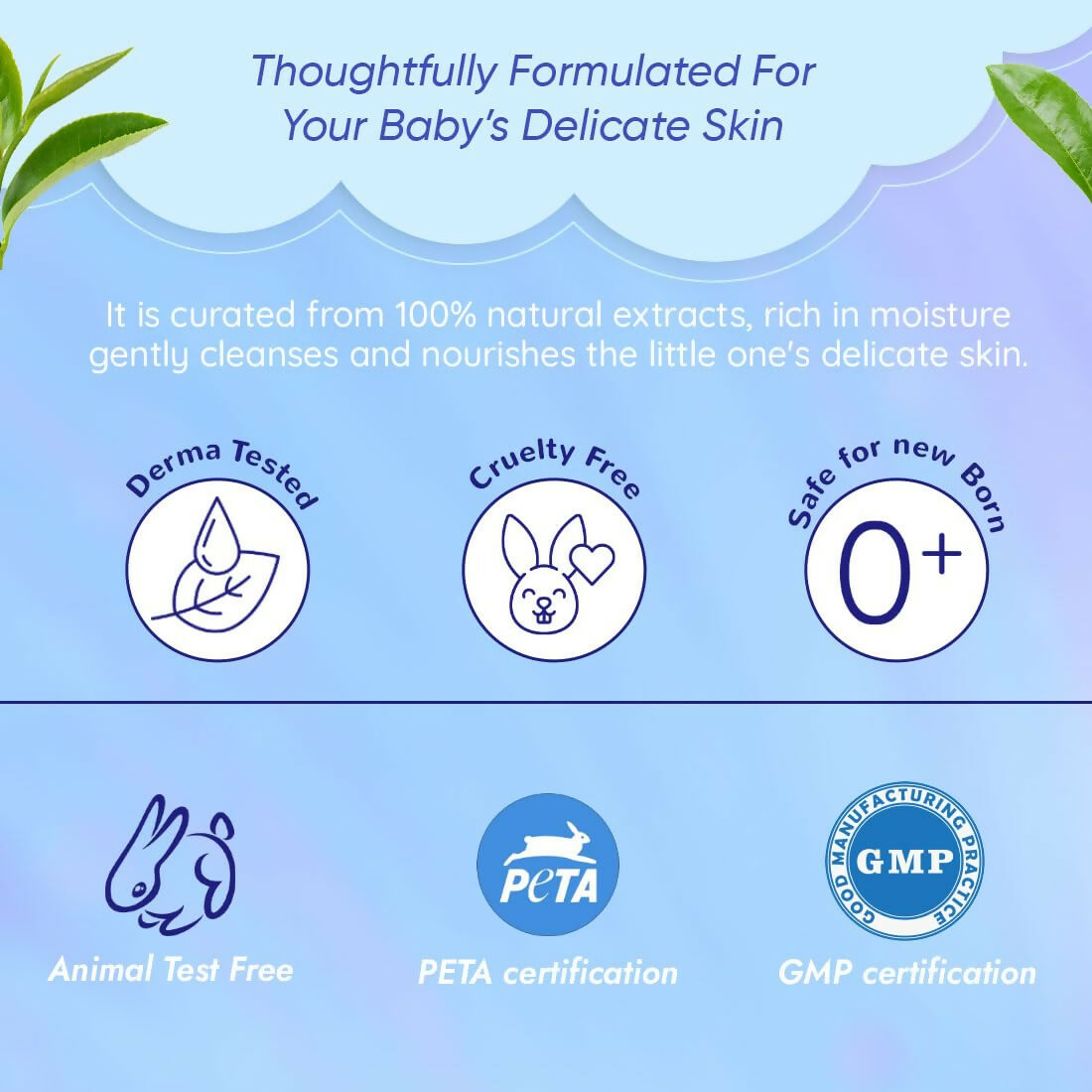 https://cdn.shopify.com/s/files/1/1857/6931/files/ftac8t1zRn.jpg?v=1742016975