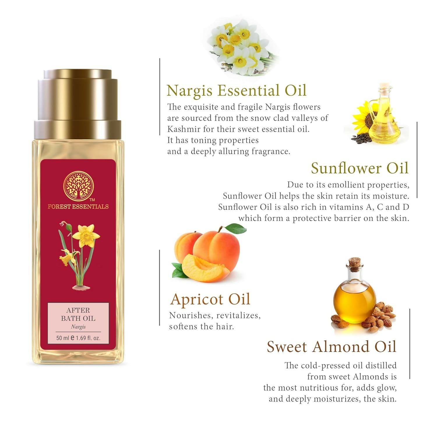 https://cdn.shopify.com/s/files/1/1857/6931/files/fvWrs94TgH.jpg?v=1765444630