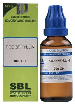 https://cdn.shopify.com/s/files/1/1857/6931/products/fvstP7PwgH.jpg?v=1635314993