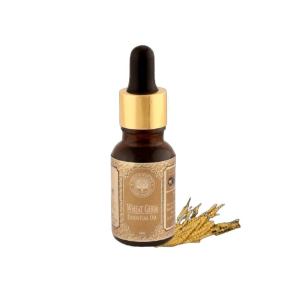 https://cdn.shopify.com/s/files/1/1857/6931/products/fwpT6MJGfT.jpg?v=1663758529