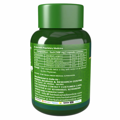 https://cdn.shopify.com/s/files/1/1857/6931/products/fyNbPWpBI1.jpg?v=1702465866