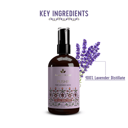 https://cdn.shopify.com/s/files/1/1857/6931/files/fyXElriCuc-840384.png?v=1736150411