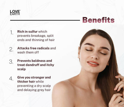 https://cdn.shopify.com/s/files/1/1857/6931/products/fyvkLIaee6.jpg?v=1713166281