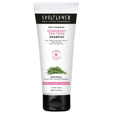 https://cdn.shopify.com/s/files/1/1857/6931/products/g0anT5ey6S.png?v=1762401669