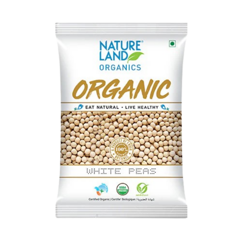 https://cdn.shopify.com/s/files/1/1857/6931/files/g5OOcoSr1e.png?v=1773819193