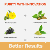 https://cdn.shopify.com/s/files/1/1857/6931/files/g7TGkm2mjc.jpg?v=1728473419