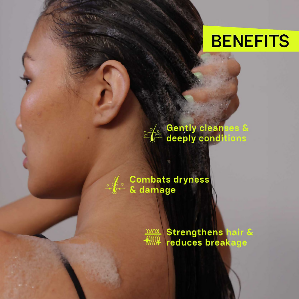 https://cdn.shopify.com/s/files/1/1857/6931/files/g88uLFwKt8.png?v=1727439932