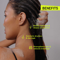 https://cdn.shopify.com/s/files/1/1857/6931/files/g88uLFwKt8.png?v=1727439932