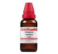 https://cdn.shopify.com/s/files/1/1857/6931/products/g8E8LPbmL5.jpg?v=1641293548