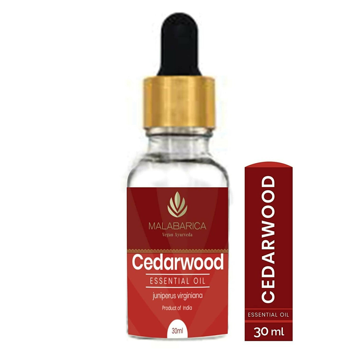https://cdn.shopify.com/s/files/1/1857/6931/products/g8NqVQGthI.jpg?v=1667812918