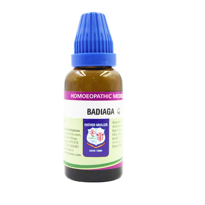 https://cdn.shopify.com/s/files/1/1857/6931/files/g9UQJo8sPW.jpg?v=1718255673