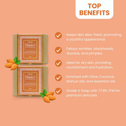 https://cdn.shopify.com/s/files/1/1857/6931/files/gBQXkI0noL.png?v=1777027879
