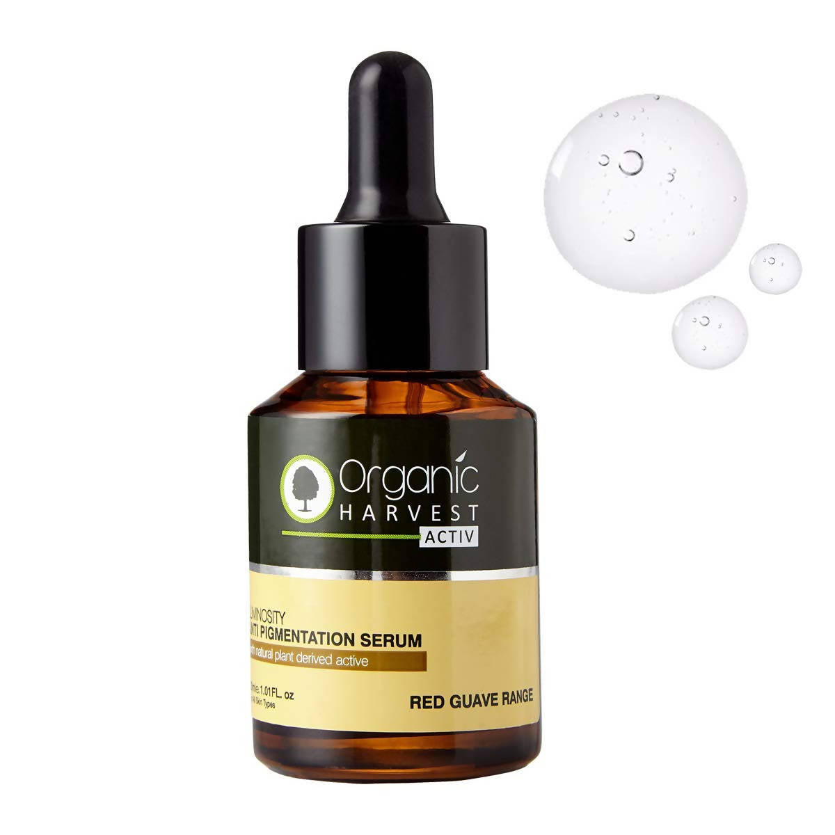 https://cdn.shopify.com/s/files/1/1857/6931/products/gBc2s0o9vJ.jpg?v=1759274325
