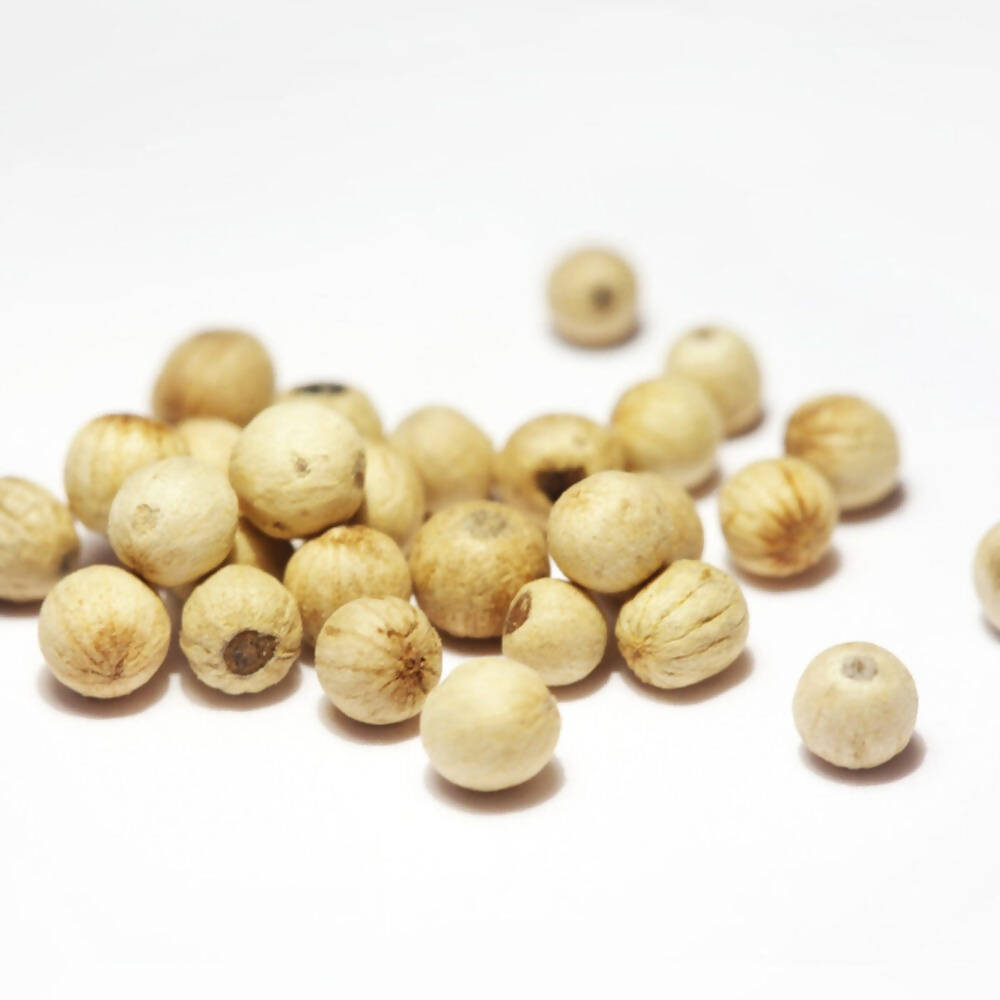 https://cdn.shopify.com/s/files/1/1857/6931/products/gDwaxYBJQN.jpg?v=1623412476