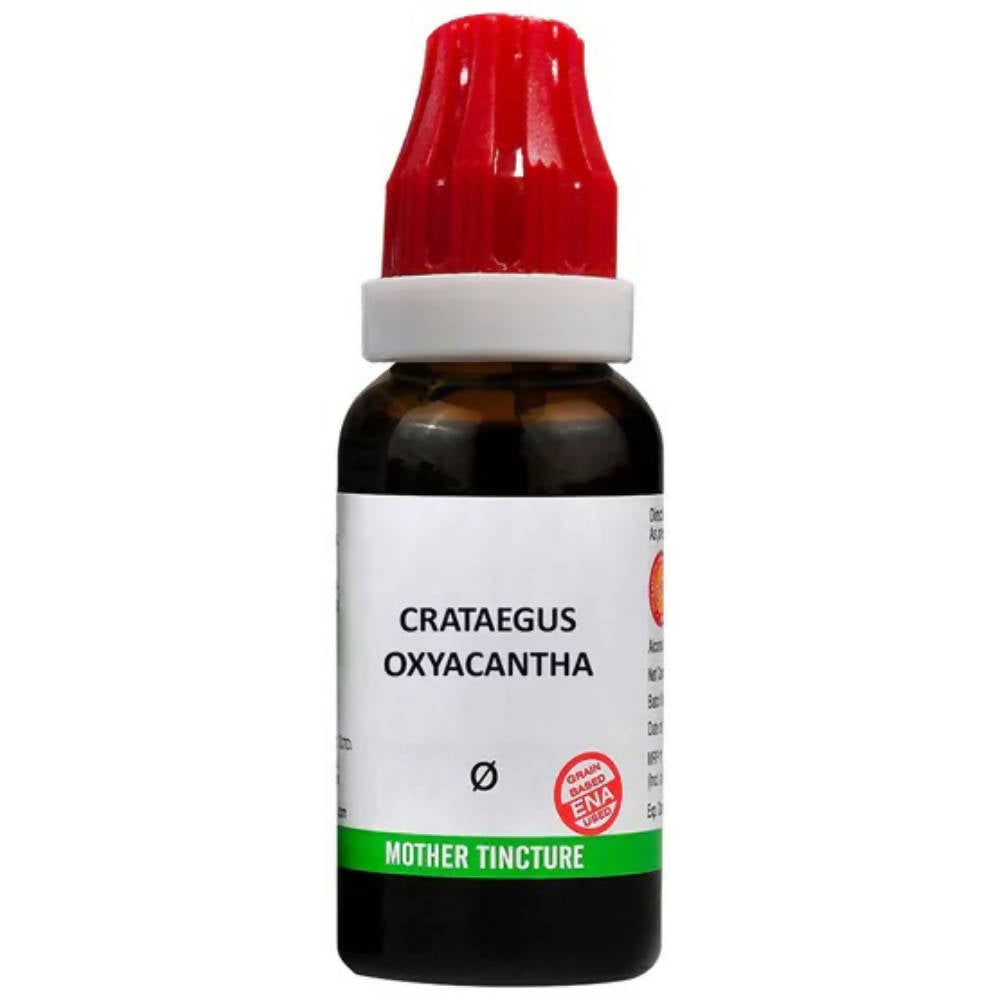 https://cdn.shopify.com/s/files/1/1857/6931/products/gGjpAdrQuq.jpg?v=1762337049