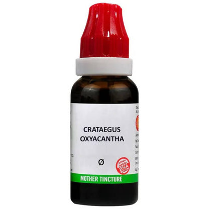 https://cdn.shopify.com/s/files/1/1857/6931/products/gGjpAdrQuq.jpg?v=1762337049