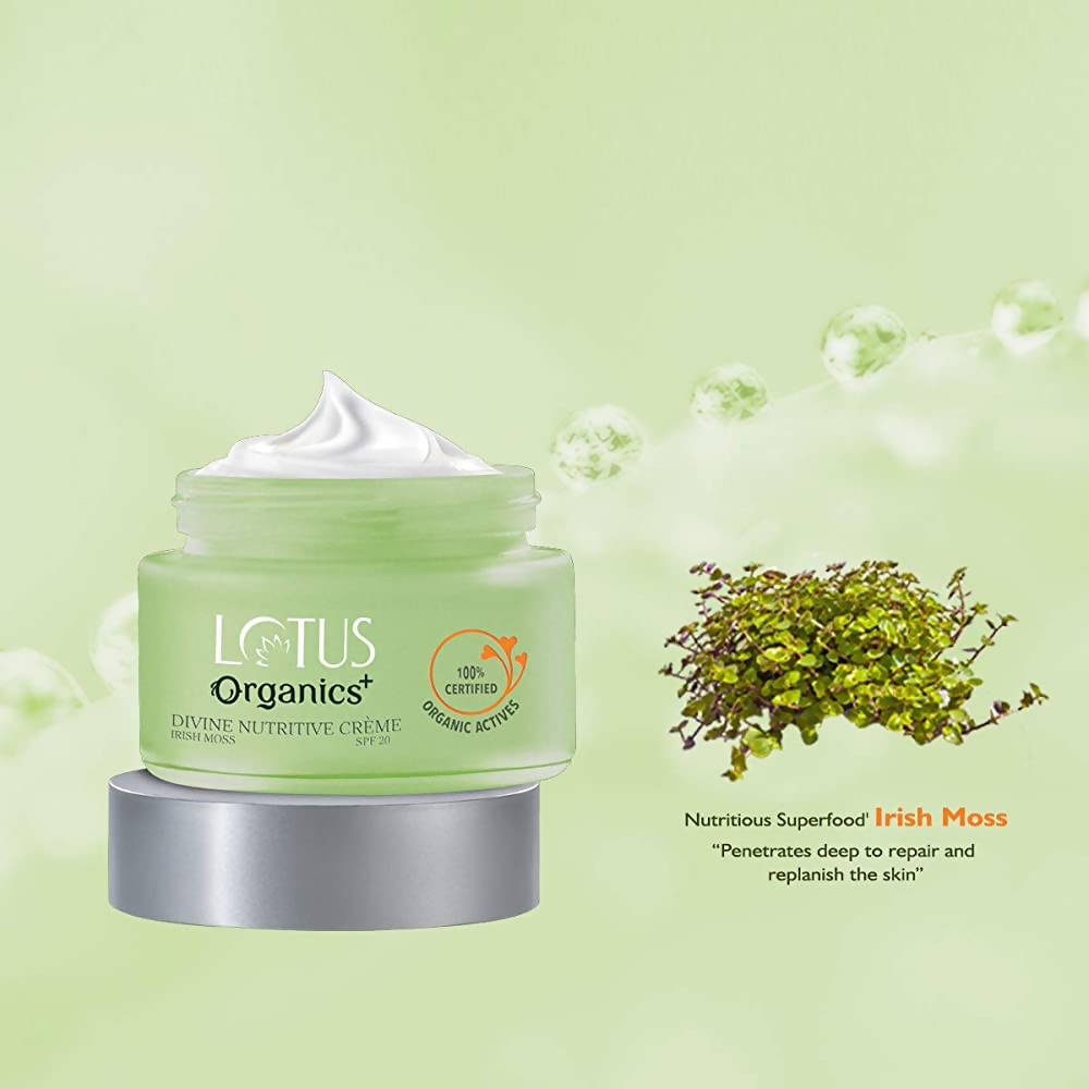 https://cdn.shopify.com/s/files/1/1857/6931/products/gGvH3Evm8q.jpg?v=1648461124