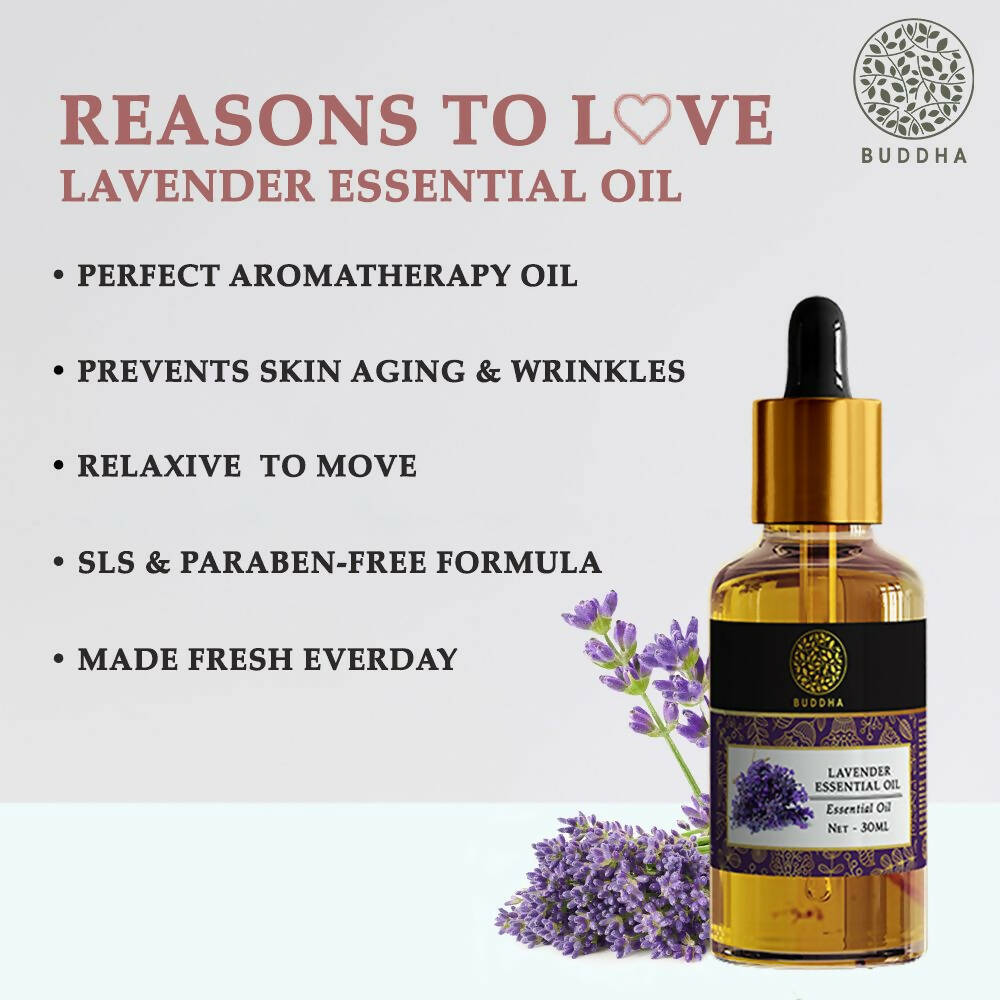 https://cdn.shopify.com/s/files/1/1857/6931/products/gIAwkk374l.jpg?v=1677662349