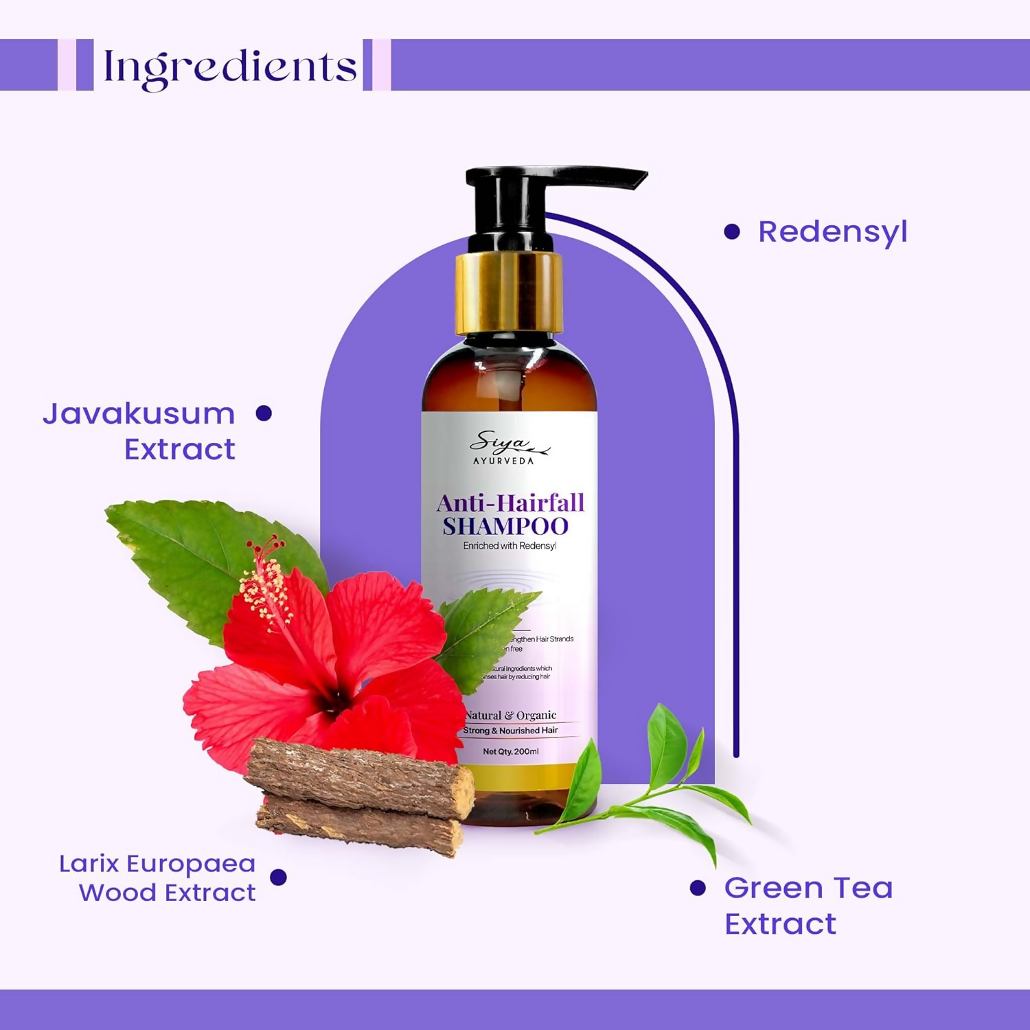 https://cdn.shopify.com/s/files/1/1857/6931/files/gIkY3MttlB.png?v=1732705840
