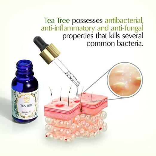 https://cdn.shopify.com/s/files/1/1857/6931/products/gKEdw2LXZf.jpg?v=1671800615