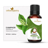 https://cdn.shopify.com/s/files/1/1857/6931/products/gLFPeVEmTJ.jpg?v=1759384221