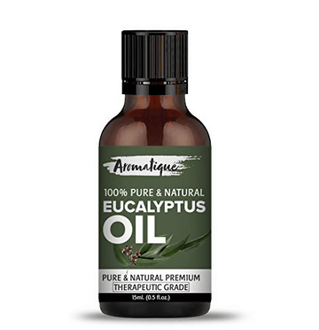 https://cdn.shopify.com/s/files/1/1857/6931/files/gLdhNoHF2G-677811.png?v=1736149325