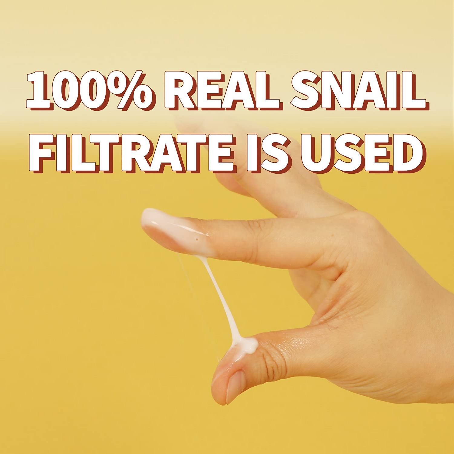 https://cdn.shopify.com/s/files/1/1857/6931/files/gLn76Tr6Yr.png?v=1732021033