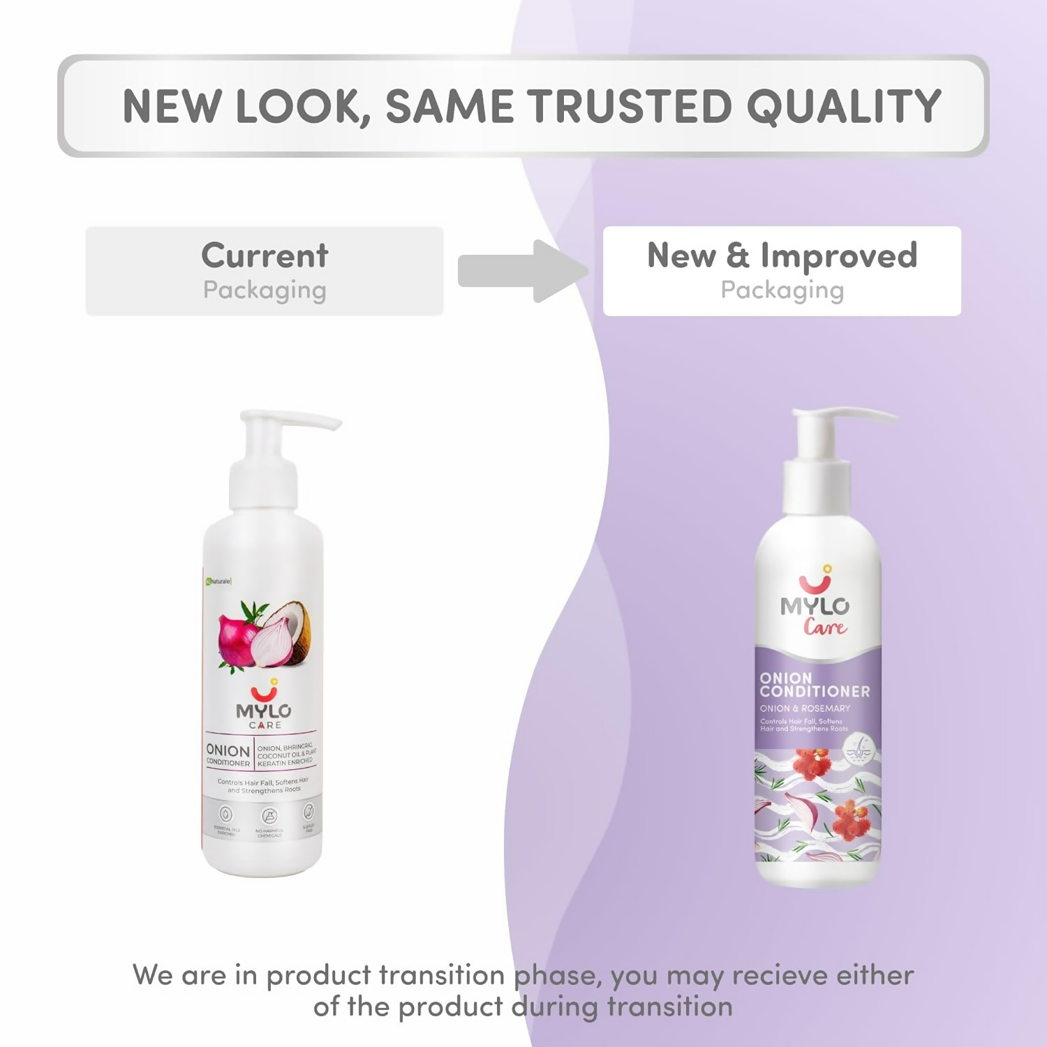 https://cdn.shopify.com/s/files/1/1857/6931/files/gMUUKi03TI.png?v=1737719065