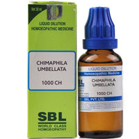 https://cdn.shopify.com/s/files/1/1857/6931/products/gMuSjpA01T.jpg?v=1635318904