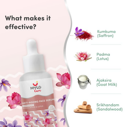https://cdn.shopify.com/s/files/1/1857/6931/files/gPIZcsTQBc.png?v=1737952123