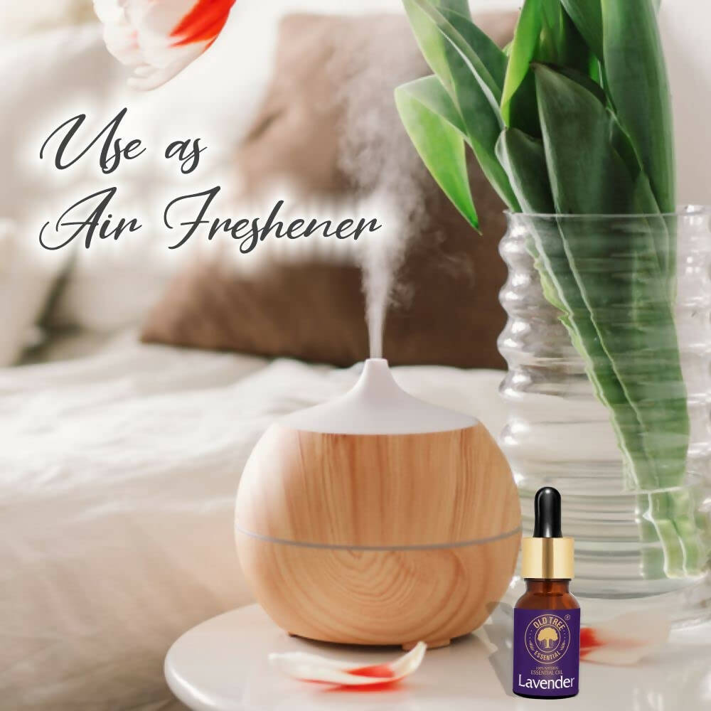 https://cdn.shopify.com/s/files/1/1857/6931/products/gQWzIqL5U7.jpg?v=1682760894